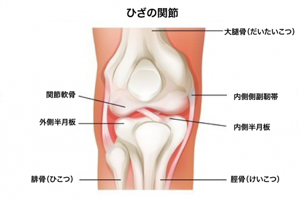 場所 膝 が 痛い